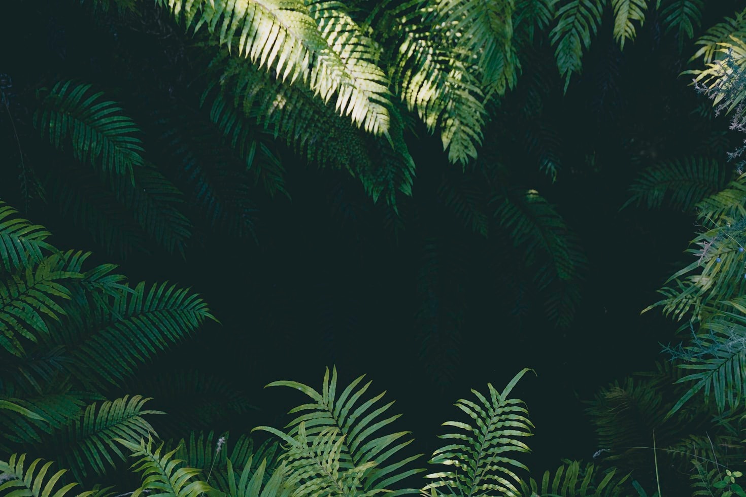 How to Find Inspiration in Everyday Life
