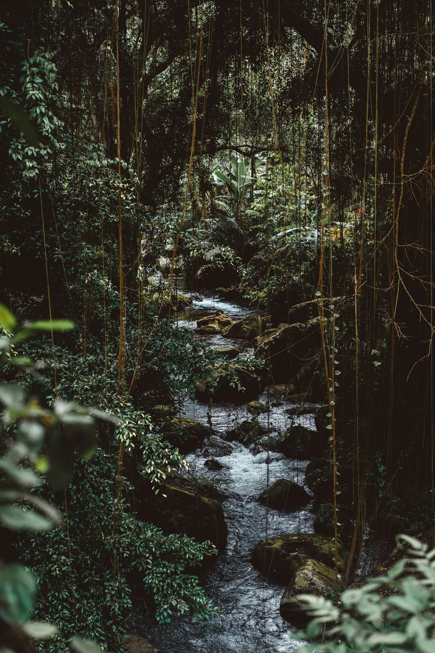 The Joy of Exploring New Interests